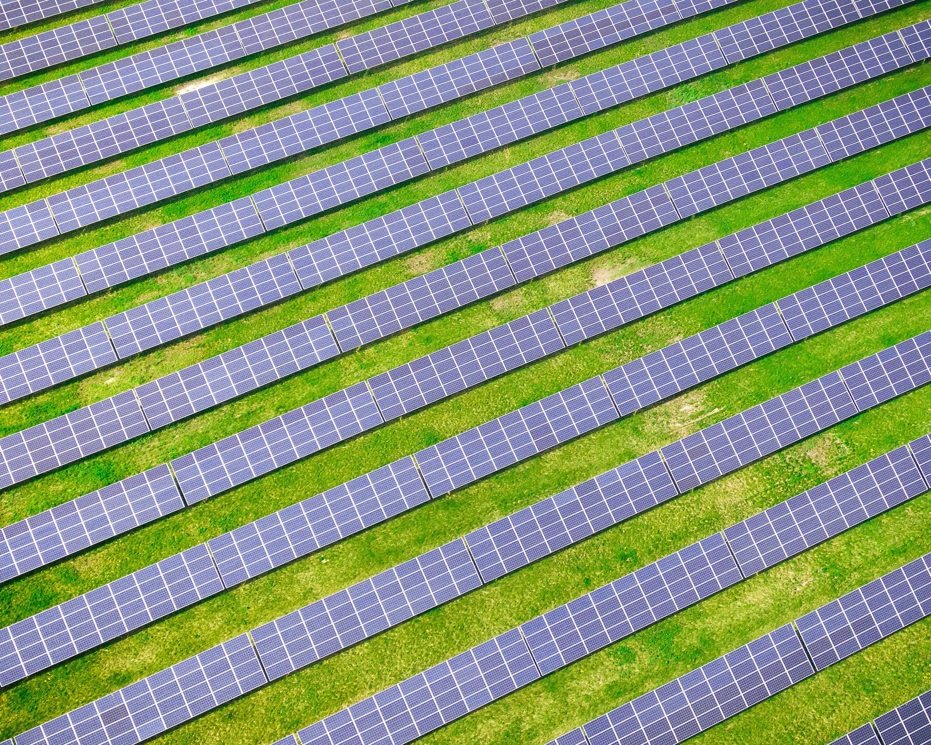 Revolutionäre Solarenergie: Das Potenzial von Agri-PV und Land-PV in Deutschland